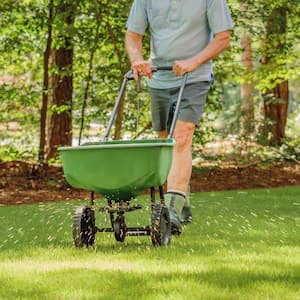 Man fertilizing and seeding backyard lawn