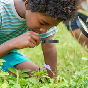 boy with friends in the grass exploring and looking nature