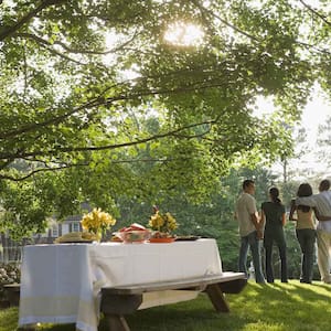 Group of friends enjoying a picnic in the backyard