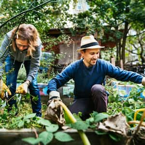 Couple working in an urban garden