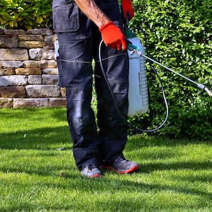 An exterminator sprays a yard