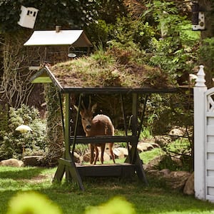 A deer in a green garden