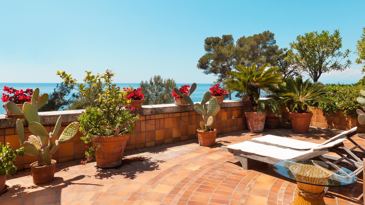 A nice terrace with plants