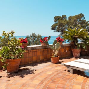 A nice terrace with plants