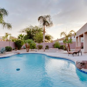 A swimming pool among palm trees in a backyard