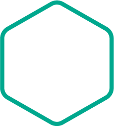 Kaspersky Security Assessment