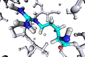 Potential new medication for treating COVID-19 - Photo: ?iStock/shunyufan