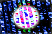 Two DNA sites linked to PTSD risk - Photo: ?iStock/Gio_tto