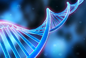 Gene variant increases risk of blast-induced memory problems - Photo: ?iStock/peterschreiber.media