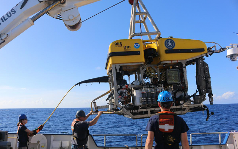 A team of people wearing hardhats guide a large yellow machine above water