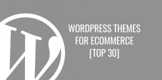 WordPress themes for ecommerce