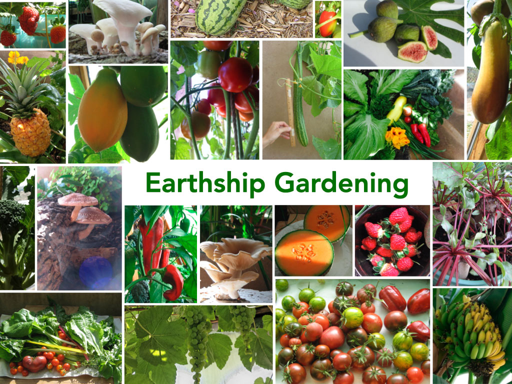 Earthship Food and Gardening Webinar