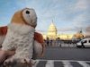 Capt. Jeffrey Dallin Belnap snaps photo of Jupiter, a stuffed animal that belongs to his daughter at home, behind the U.S. Capitol building during a Utah National Guard mission to the U.S. Capitol in Washington, D.C., Jan. 15, 2021. National Guard Soldiers and Airmen from several states traveled to Washington, D.C. to supplement federal and district authorities responsible for securing the U.S. Capitol for the 59th presidential inauguration. (U.S. Army National Guard photo by Capt. Jeffrey Dallin Belnap)