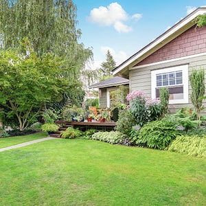 Nicely landscaped back yard