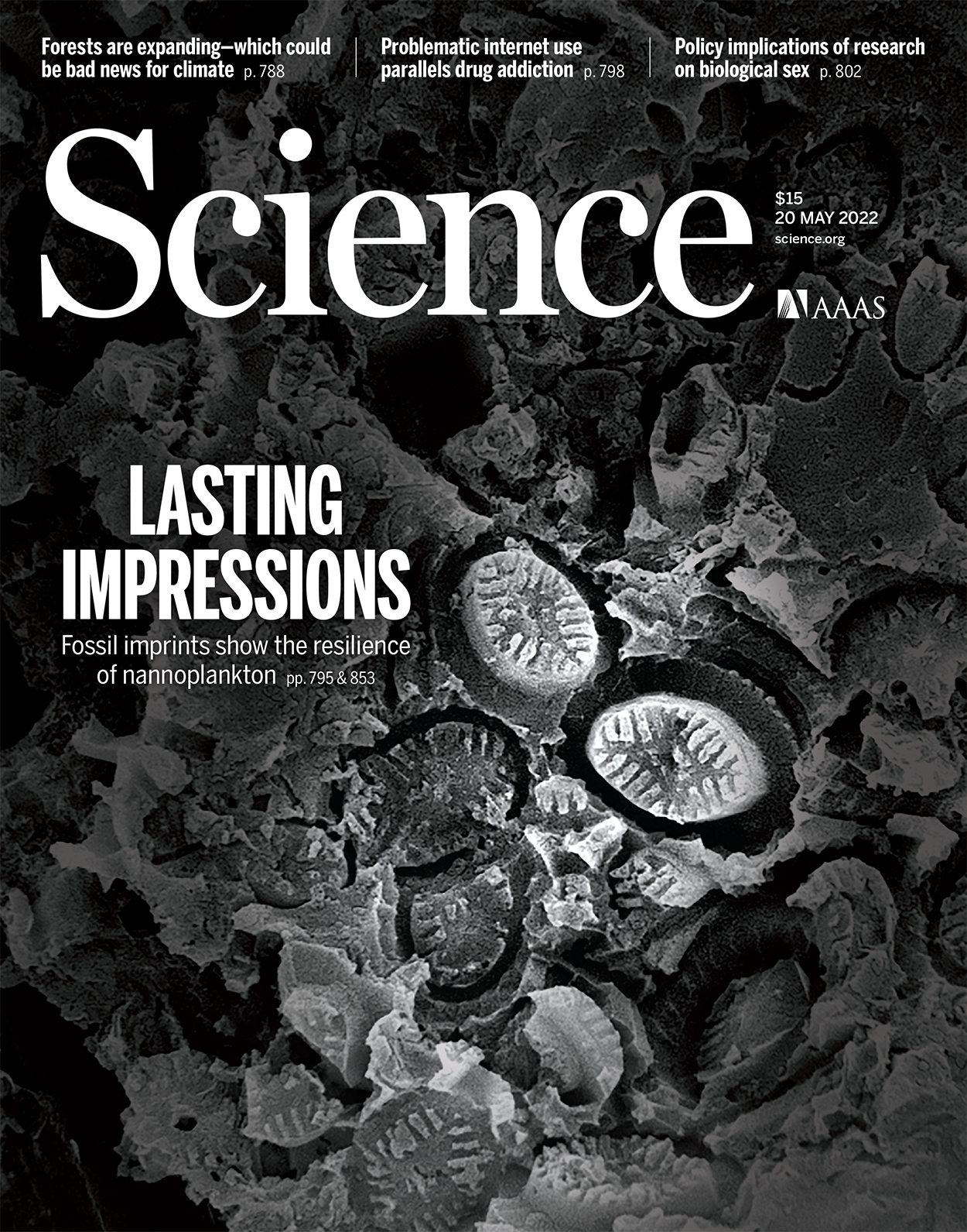 Current Issue Cover