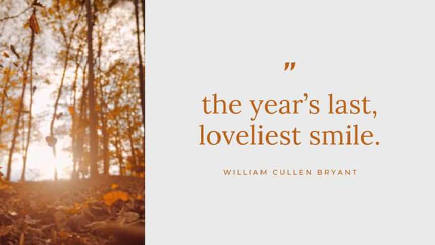 seasonal video template showing an autumn-themed quote and falling leaves.