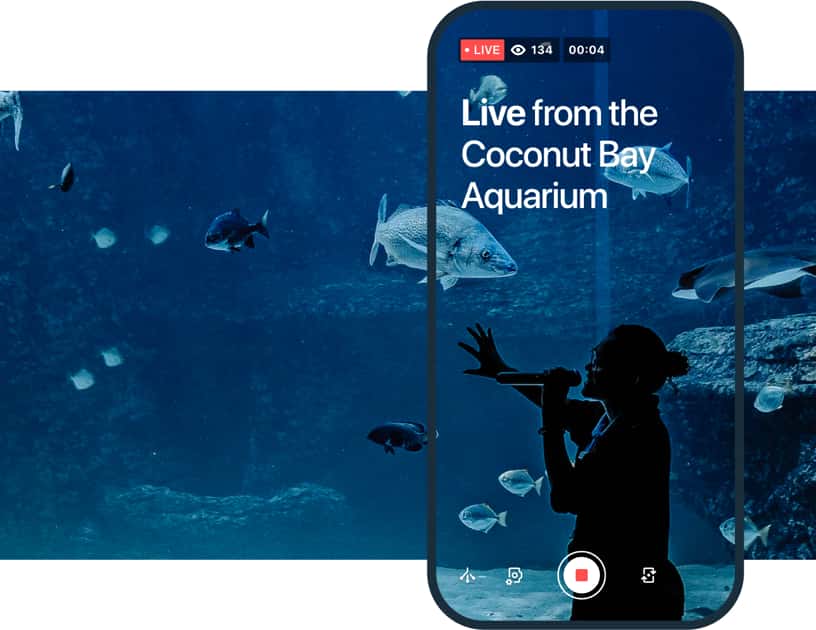 Instructor live streaming from the Coconut Bay Aqarium