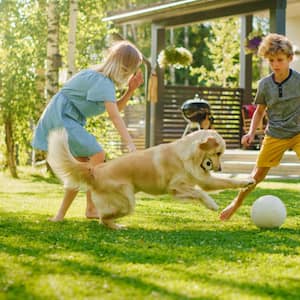 Two kids have fun with their dog