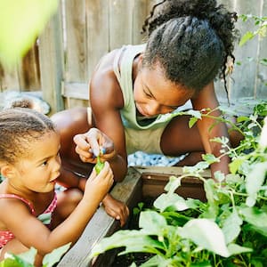 A mother and child in a vegetable garden