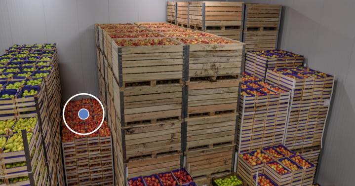 The Best Way to Ship Perishables Must Include Real-Time Condition Visibility