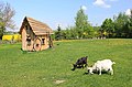 Frühling in Sachsen, Erzgebirgskreis..IMG 2458WI.jpg