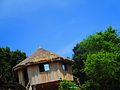 A hut and trees.jpg