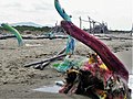 Fishermen's huts, Maremma Natural Park, Tuscany, Italy.jpg