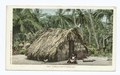 Typical Puerto Rican Hut, Puerto Rico (NYPL b12647398-66680).tiff