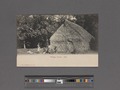 Village scene-Fiji (NYPL Hades-2359174-4043530).tiff