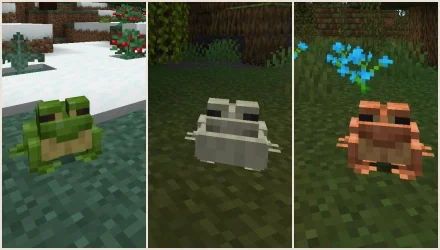 The three types of frogs coming to Minecraft!