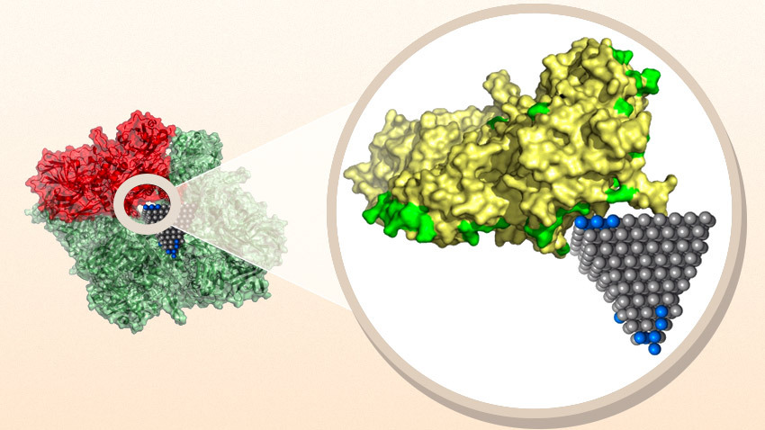 nanoparticle biotics science zoomed in yellow green red