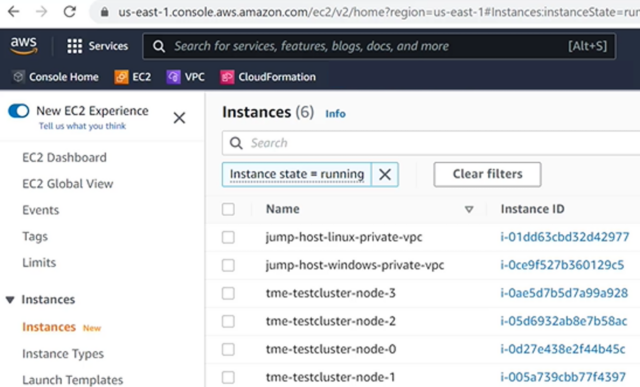 Shown: Scale-out File Cluster in Amazon Web Services, part of Dell Technologies Project Alpine Preview at Dell Technologies World. 