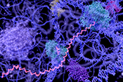 RNA markers altered in rheumatoid arthritis - Photo: ©iStock/selvanegra