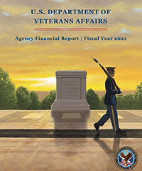 Cover Graphic of the 2021 VA Annual Financial Report