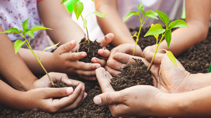 Four pairs of hands holding saplings and soil resting on soil.