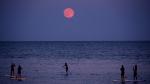 Paddleboarders below the strawberry moon at Barceloneta beach, Barcelona, Spain.