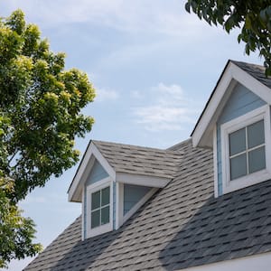 dark gray shingles on top of house with tree