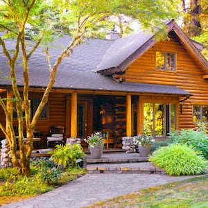 Log cabin in forest with mature landscaping