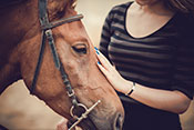 Therapeutic horseback riding can lower PTSD symptoms - Photo: ?iStock/DragonImages