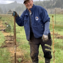 A volunteer at siletz bay plants trees