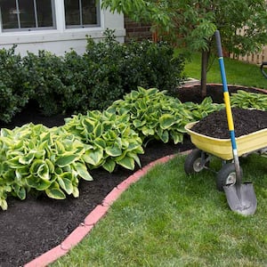 Yellow wheel barrel with mulch in the front yard