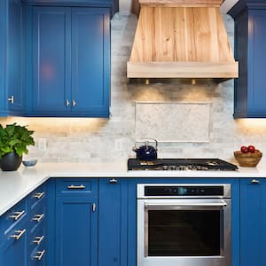 Remodeled Contemporary Kitchen with blue cabinets