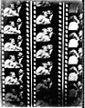 Three black-and-white film strips showing a woman and man facing each other and then eventually kissing. Each film strip has about five visible frames.