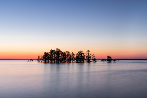 Lake Mattamuskeet