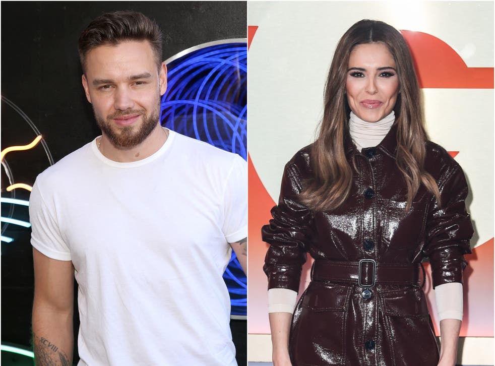 <p>Liam Payne and Cheryl Cole share a five-year-old son named Bear</p>