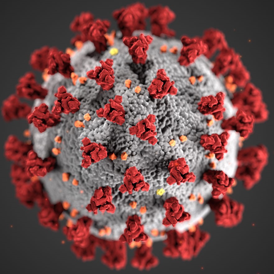 COVID-19 Virus