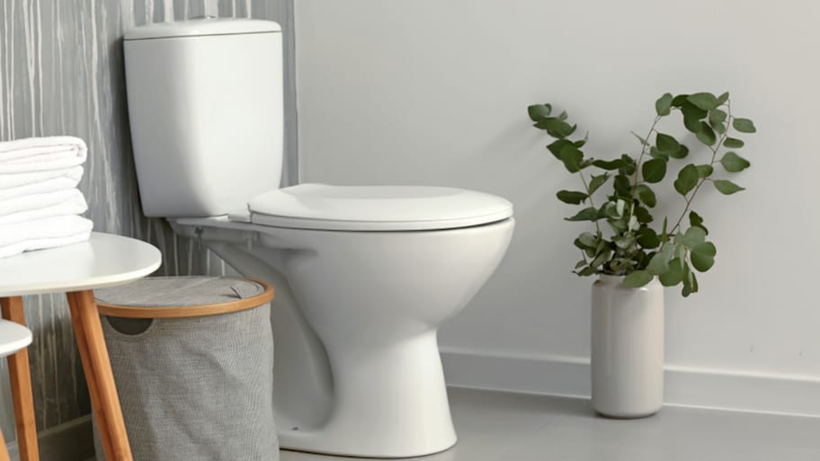 White toilet in bathroom next to plant