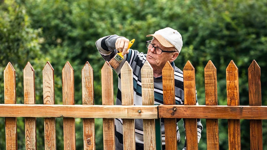 Senior man staining wooden fence