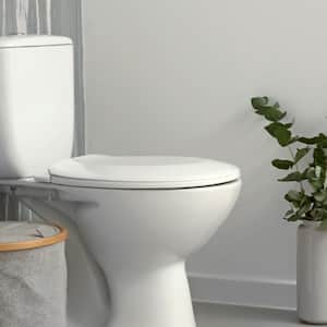A ceramic toilet bowl