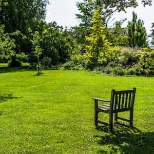backyard lawn with garden and wooden chair in middle of lawn